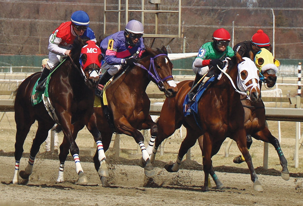Penn National Racetrack horses