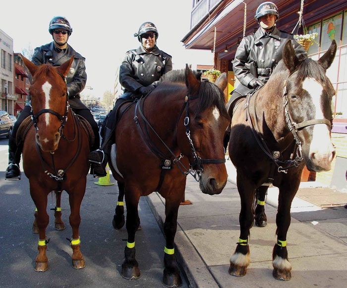 Scott McDonald and Ozzy, Officer Wayne McVey and Charlie, and Officer Eric Lukacs