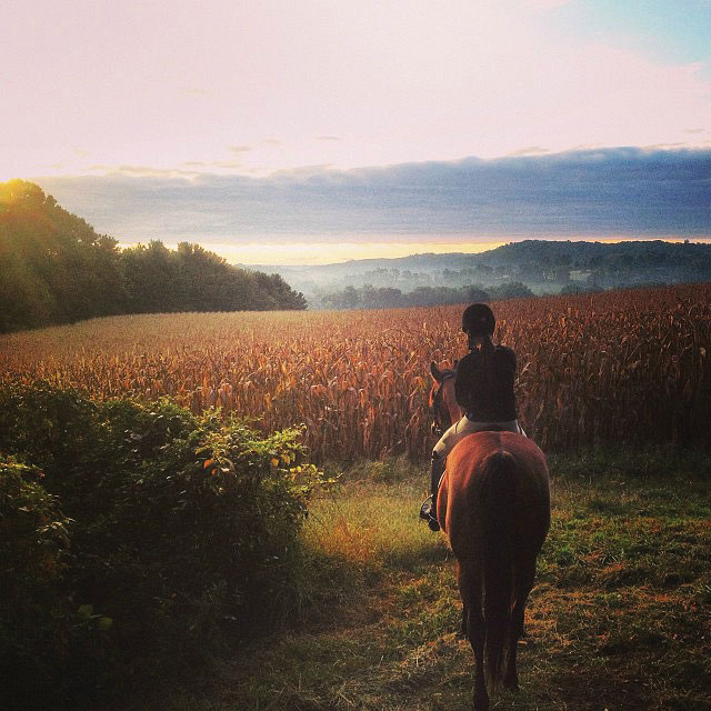 Newlin Township, Chester County