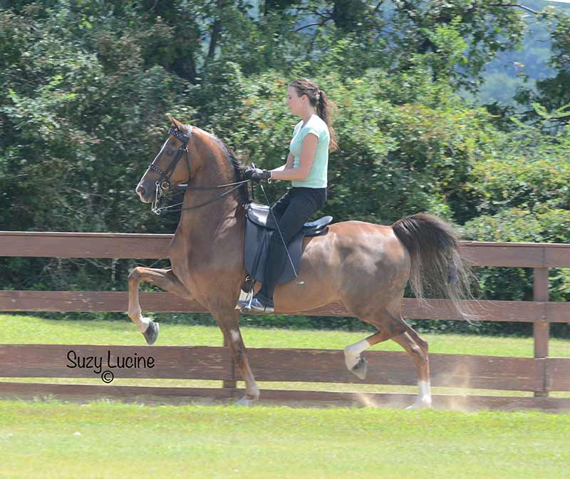 Assistant Trainer Stacey Myers and CBMF Restless