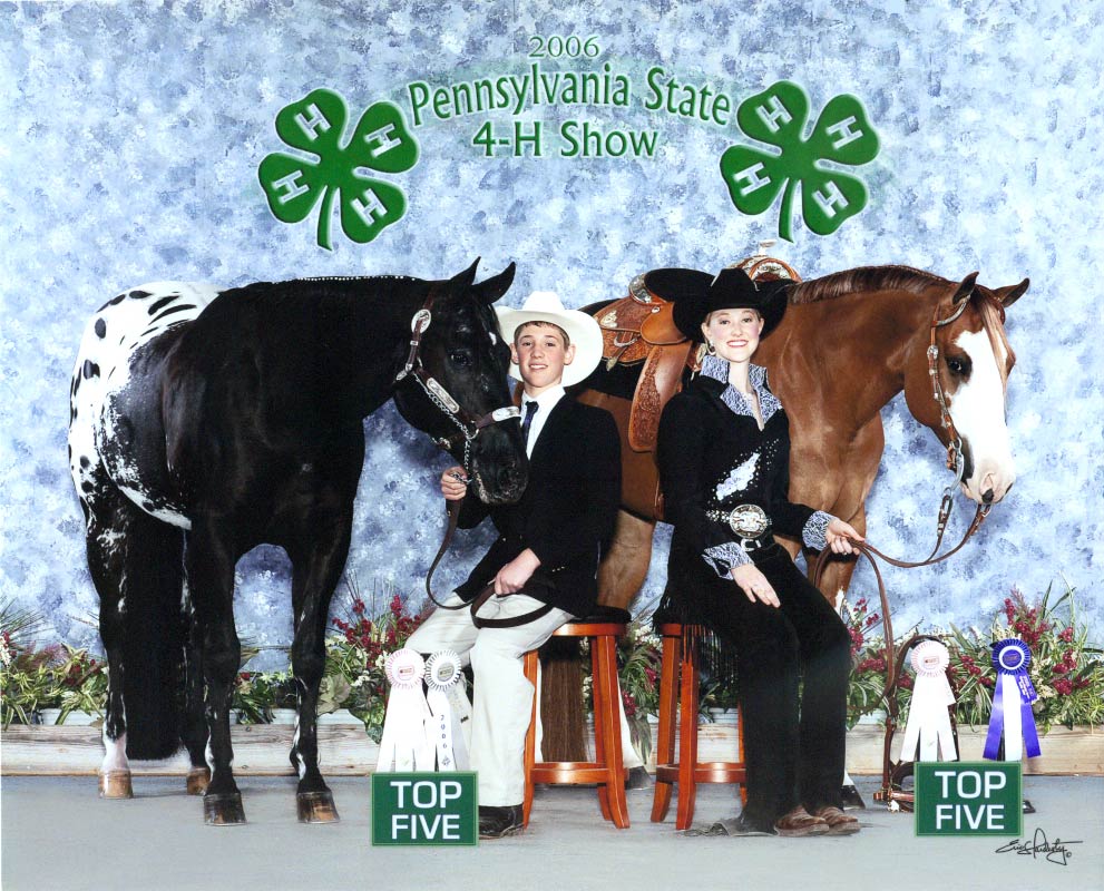 September 2019 Blind Appaloosa Finally Finds Celebrity in Therapeutic