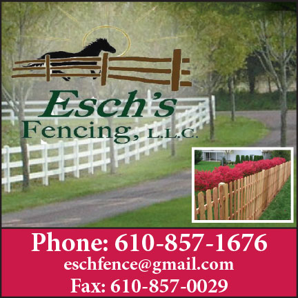 Eschs Fencing