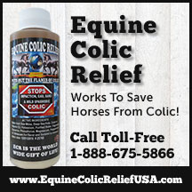 Equine Colic Relief