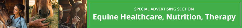 Equine Health Care, Nutrition & Therapy Featured Ads
