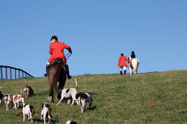 Rose Tree Fox Hunting Club