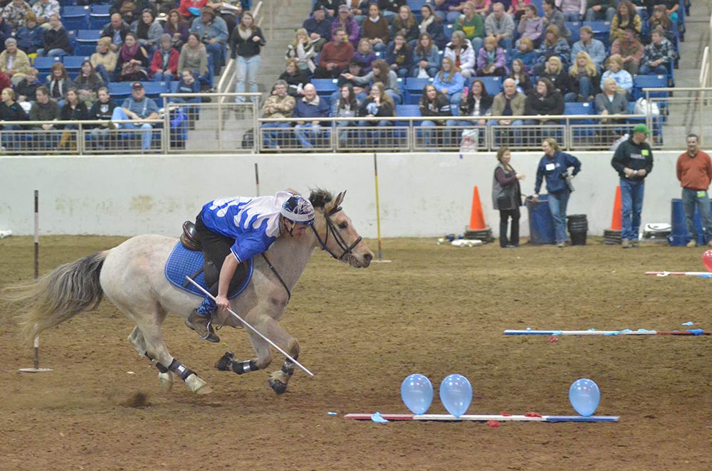 Horse World Expo