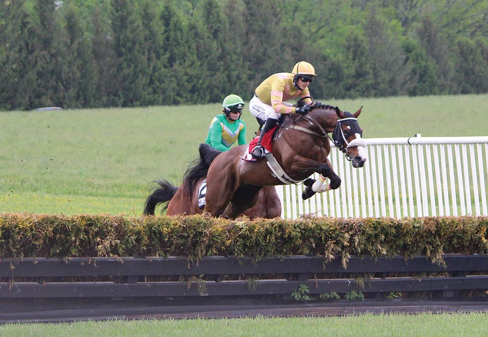 Annual Willowdale Steeplechase