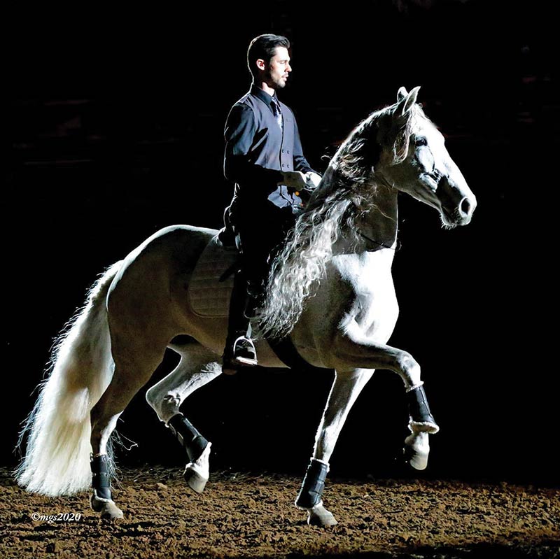 March 2022 Back 19th Annual Horse World Expo